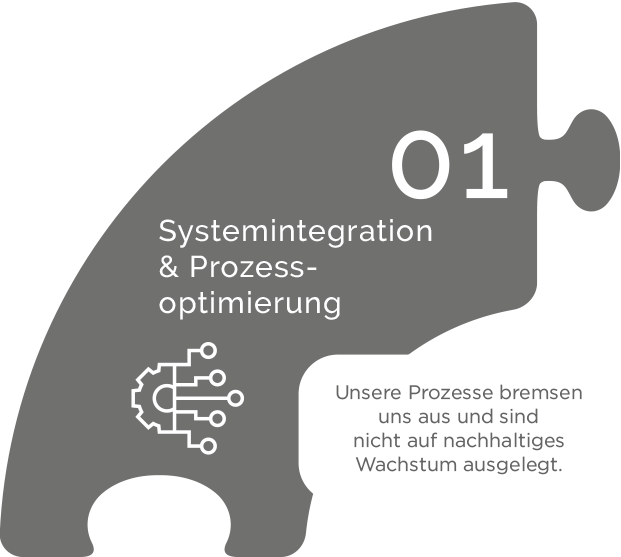 Systemintegration & Prozessoptimierung